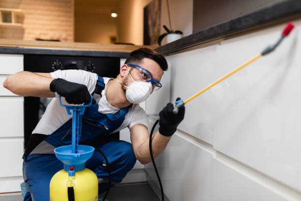 Best Affordable Pest Control Services  in West Mountain, UT