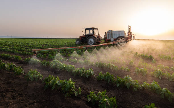 Reliable West Mountain, UT Pest Control Solutions