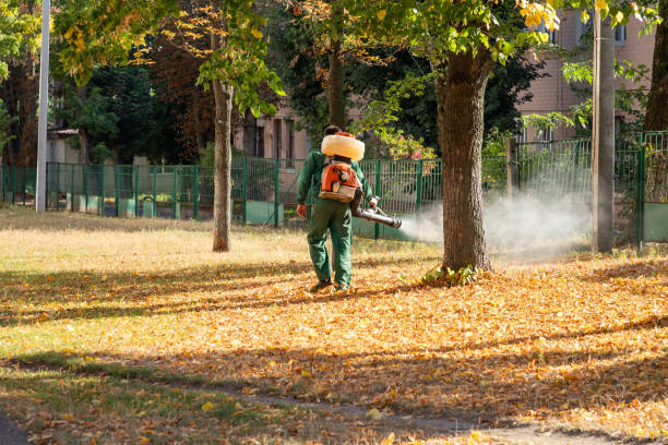 Best Affordable Pest Control Services  in West Mountain, UT