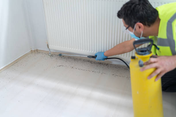 Best Pest Inspection Near Me  in West Mountain, UT